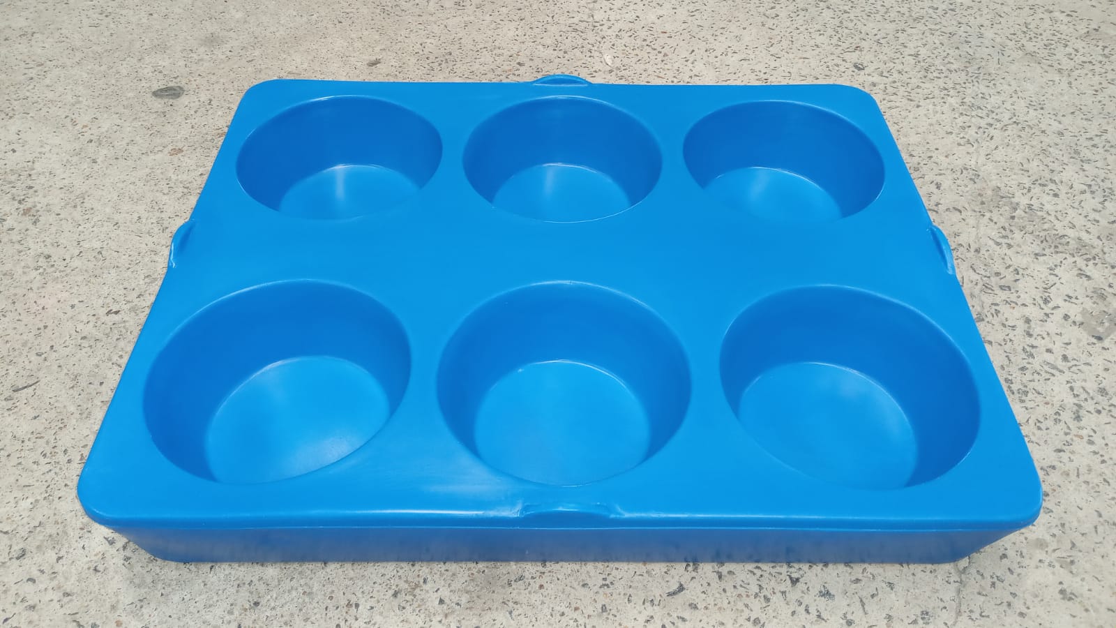 WhatsApp Image 2022-02-24 at 10.31.17 (1).jpeg